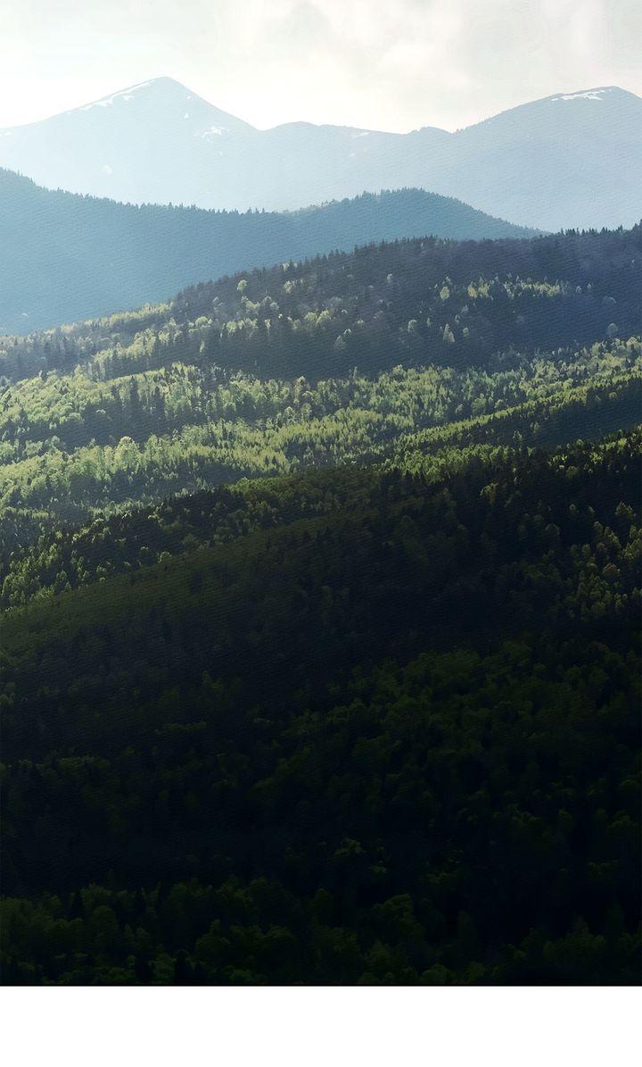 Under the Oak Tree Chapter 102 image 36